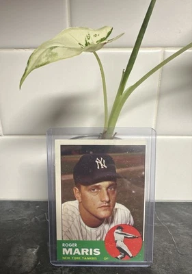 1963 Topps - Roger Maris #120 - Image 1 of 2