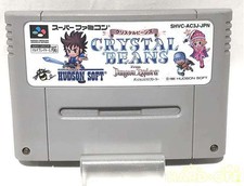 Hudson Crystal Beans Dungeon Explorer SNES Software