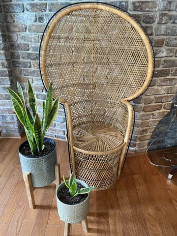 vintage wicker peacock chair Cover