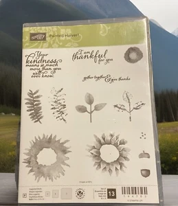 Stampin' Up 144783 "COSECHA PINTADA" Juego de 13 Flores y Frases Retiradas- - Imagen 1 de 3