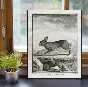 Poster Ostern Hase Hase Lapin Buffon Bauernhaus Deko Poster Landhaus Kern - Bild 1 von 4