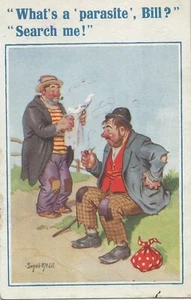 Postal de cómic de Donald Mcgill - What's a Parasite Bill - Búscame - década de 1930 - Imagen 1 de 2