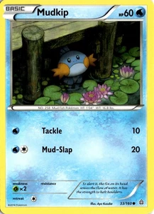 Pokémon Mudkip XY Primal Clash 33/160 Common Light Play LP Card Scan 2015 - Picture 1 of 2