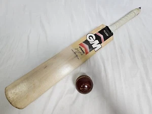 Gunn & Moore GM Flare Striker Graeme Smith Kashmire Willow Wood Cricket Bat sz 5 - Picture 1 of 24
