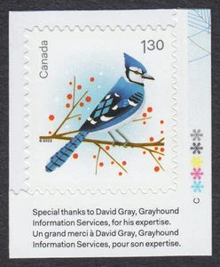 BLUE JAY = CHRISTMAS BIRDS = stamp with COLOUR ID & INSCRIPTION MNH Canada 2022 - Picture 1 of 1