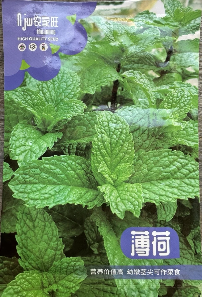 Fresh Mint Seeds – Easy to Grow for Garden or Pots - Image 1 of 1