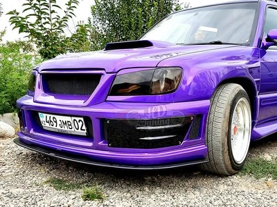 Labio para parachoques Burn Up para Subaru Forester SF 1997-2002 Foto 1 de 4