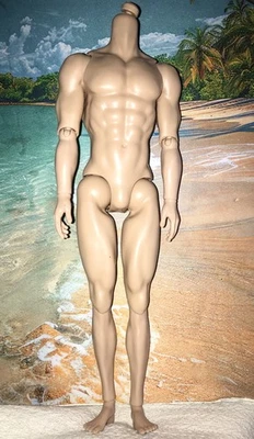 TAN JOINTED BODY Mizi Adonis size Male Doll Integrity Toys Homme Fashion Royalty