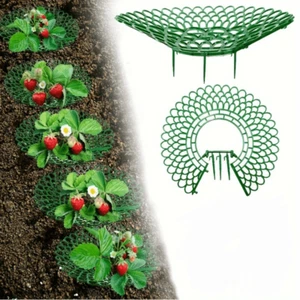 2/10PCS Strawberry Stand Frame Holder Balcony Planting Rack Support Plant Flower - Picture 1 of 9