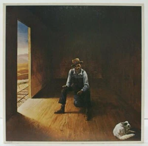 DON MCLEAN - HOMELESS BROTHER - FOLK BLUES VINYL LP - Picture 1 of 8