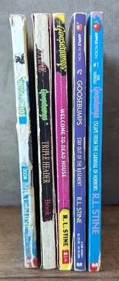 Goosebumps Paperback Lot, 5 Books, Scholastic, RL Stine, Readable / Acceptable - Image 1 of 4