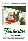 1966 Trailmaker Ski-Bird Vintage Advertising Poster