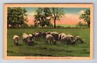 Constantine MI-Michigan, landschaftlich reizvolle Grüße, antikes Souvenir Vintage Postkarte