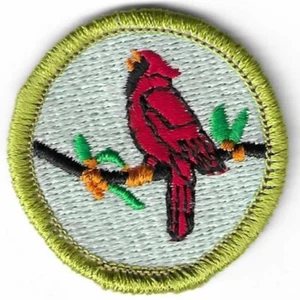 BSA BIRD STUDY MERIT BADGE CURRENT MINT NWT TYPE L SINCE 1910 BACK #1 SMALL TAIL - Picture 1 of 3