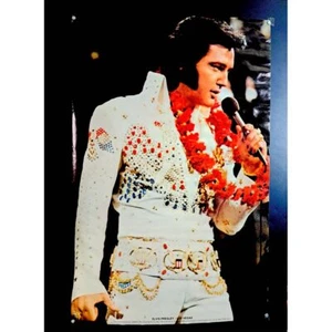 Póster de Elvis Presley 1975 fotos internacionales de Las Vegas 23x35 música vintage arte de pared raro - Imagen 1 de 9