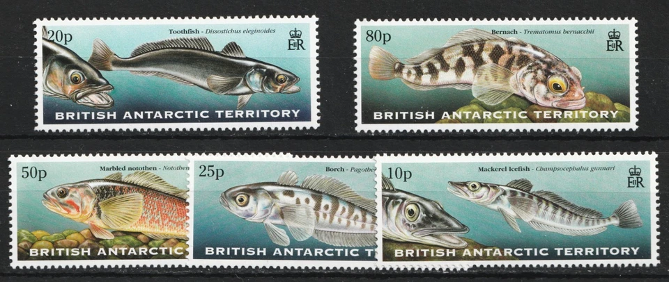 1999 BAT British Antarctic Territory Sc# 275-79, Marine Life, Fish. MNH Cv$22.90 - Image 1 of 1