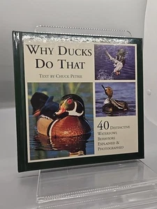 Why Ducks Do That 40 Distinctive Waterfowl Behaviors Explained & Photos Petrie - Picture 1 of 7