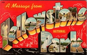 MESSAGE FROM YELLOWSTONE NATIONAL PARK - VINTAGE LARGE LINEN GREETING POSTCARD - Picture 1 of 2