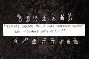 Celebrate your Success - One Single Number Charm for Weight Watchers Key Ring! - Picture 1 of 5