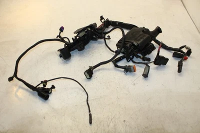 Harley-Davidson Sportster 883 2011 arnés de cableado del motor principal telar 70167-08A Foto 1 de 4