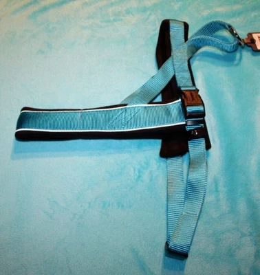 Hunter Norweger Geschirr Racing S - M  petrol NEU⭐️ 52 - 62 cm KP 37,99€ - Bild 1 von 4