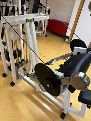 ARM CURL LINEA LUX Technogym bianca - macchina bicipiti - Immagine 1 di 2