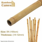 Garden Canes Bamboo Sticks Plant Support Heavy Duty Strong Quality Canes Stakes 