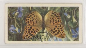1963 Brooke Bond British Butterflies Tea Silver Washed Frittillary #15 0e3