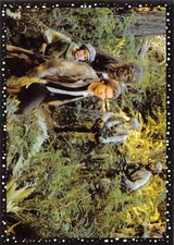 1996 Panini Star Wars Stickers NonSport Album Stickers Pick From List