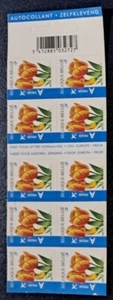 Belgium MNH stamps 2005 Tulip flowers - Picture 1 of 2