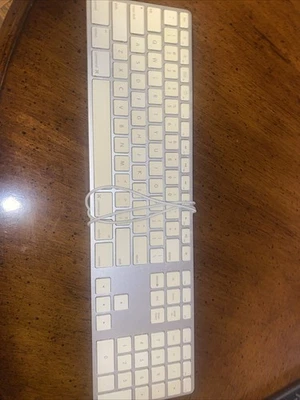 Teclado Apple plateado con cable 100 % teclado tamaño completo conectado USB Foto 1 de 4