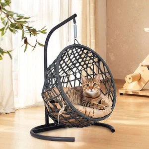 Indoor Hanging Swing Cat Bed w/Stand,Cushion,Cat Egg Chair for Small Dog Animals - Picture 1 of 22