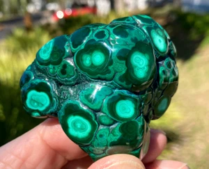 POLISHED MALACHITE WITH "BULL'S EYES" - 2 3/8 inches - Picture 1 of 10