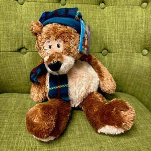 Gund Teddy B Caring #45426 Bär 16 Zoll Plüschtier Stofftier - Bild 1 von 6