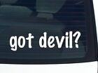 got devil? CAR DECAL BUMPER STICKER VINYL FUNNY JOKE WINDOW