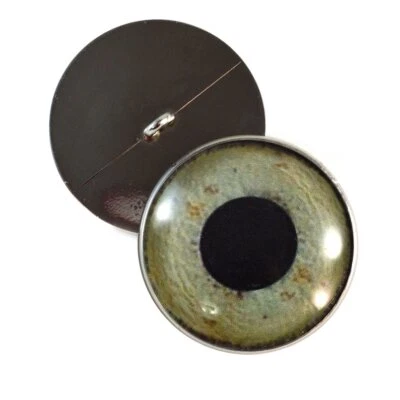 Pareja Muñeca Inspirada en Águila Media Esfera Coser Ojos de Vidrio Taxidermia Joyería Arte Foto 1 de 4