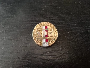 SPK Polish Combatants' Association Pin Badge - 25 Years - Picture 1 of 4