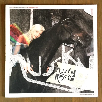 Husky Rescue: Sleep Tight Tiger 10" Vinyl EP Downtempo Acoustic Electronic Rock - Image 1 of 2