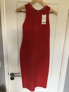 next occasion dresses petite