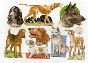 8 chromos découpis anciens les races de chien (3) /RUBdé - Imagen 1 de 2