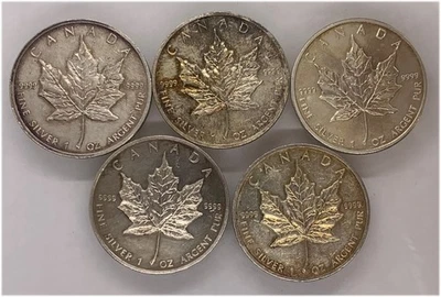 1 Oz Silver Maple Leaf $5 Canada 5 Coin Lot Circulated 1988 1993 1999 2002 2013 - Image 1 of 4