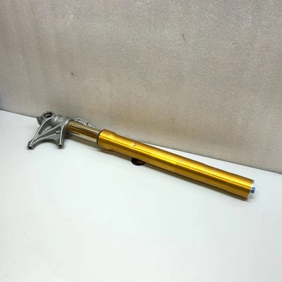 Ducati Monster 1200 S 2018 OEM horquilla delantera izquierda suspensión amortiguadora Foto 1 de 4