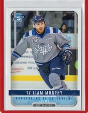 2018/19 Chicoutimi Sagueneens - LIAM MURPHY