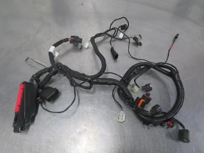 Arnés motor EB1021 2015 15 VICTORIA GUNNER 106 Foto 1 de 4