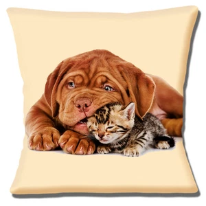 CUTE BORDEAUX PUPPY DOG & TABBY KITTEN PRINT ON CREAM 16" Pillow Cushion Cover - Picture 1 of 3
