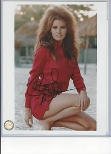 RAQUEL WELCH firmato 8X10 SI PREGA DI GUARDARE L'AUTENTICAZIONE MOSTRATA QUI. - Foto 1 di 7