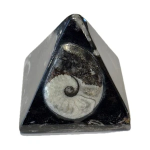 Pietra energetica chakra guarigione cristallo fossile ammonite nera decorazione piramide 2 1/2" - Foto 1 di 6