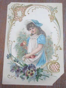 Victorian Trading Card MARK MAXWELL GROCERIES & QUEENSWARE Fresh & Salt Meats - Picture 1 of 5