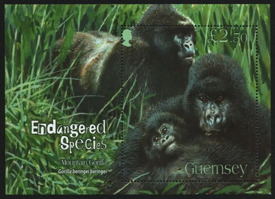 Gorilas Guernsey año 2007 ☀ MNH** Foto 1 de 1