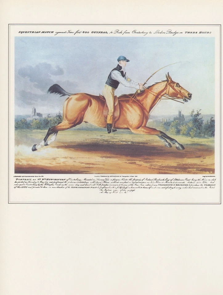 Carrera de caballos vintage 1974 "'Mr. Mundial. Litografía HUTCHINSON ON STAREING TOM" COLOR Foto 1 de 1